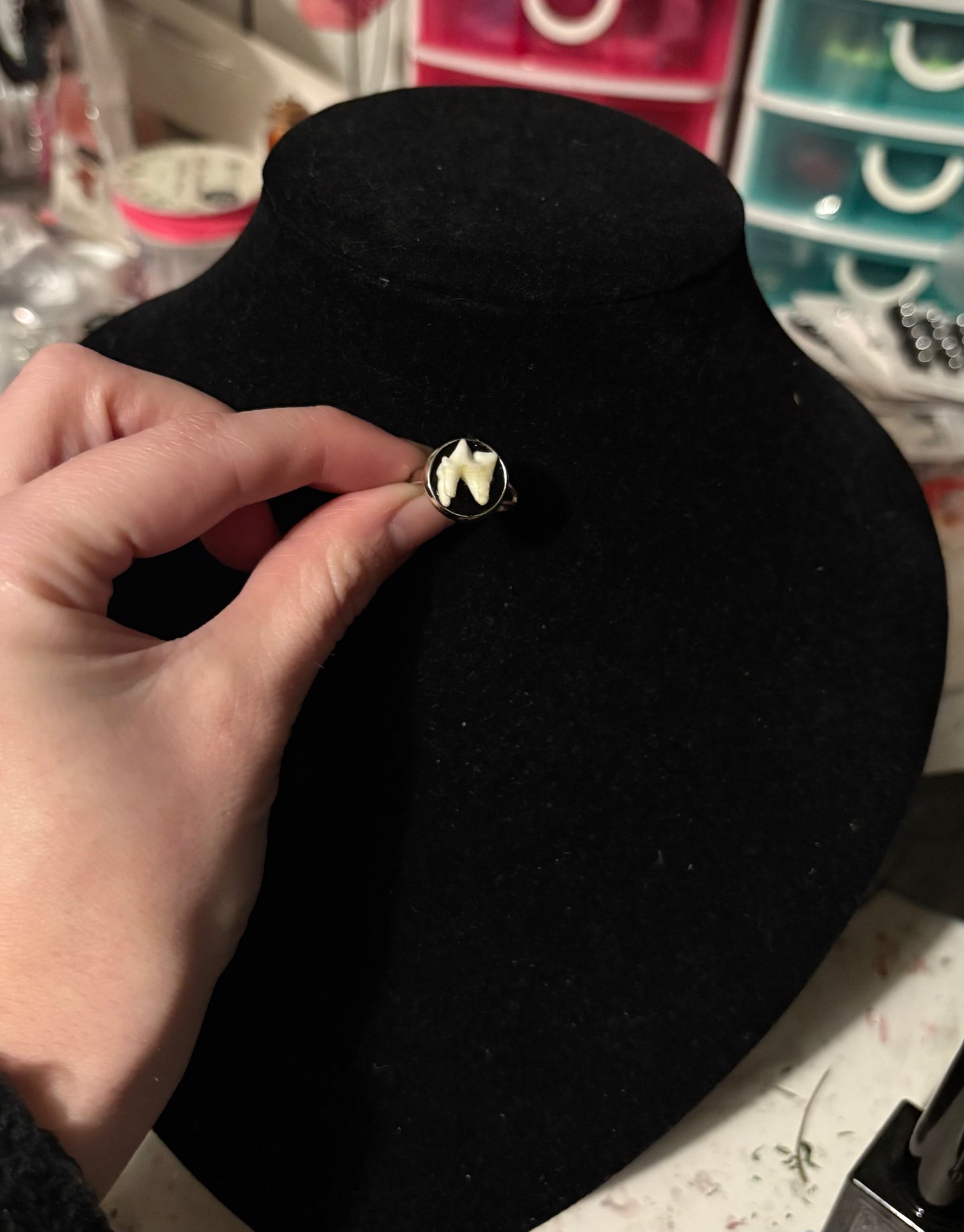 Real fox tooth ring 💍