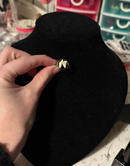 Real fox tooth ring 💍